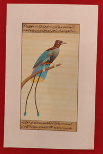 Handmade Bird Collection on Paper