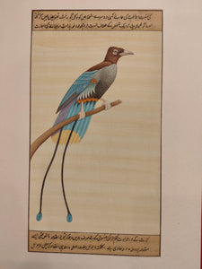 Hand Painted Bird Birds Miniature Painting India Artwork Paper Nature - ArtUdaipur