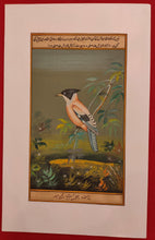 Load image into Gallery viewer, Bird Watchers and Collectors
