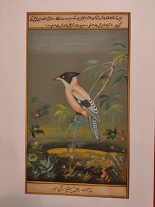 Buy Art For Your Home Decoration