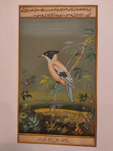 Load image into Gallery viewer, Birds Painting Artwork Paper
