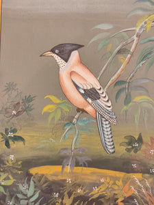 Bird Animal Collection for Your Home Decor