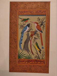 Art Collectors and Curators Birds