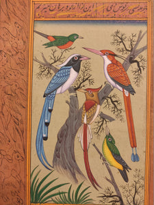 Indian Miniature Painting Birds Collection