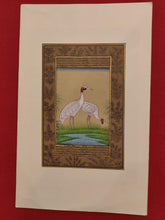 Load image into Gallery viewer, Hand Painted Ostrich Bird Birds Miniature Painting India Artwork Paper Nature - ArtUdaipur
