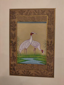 Hand Painted Ostrich Bird Birds Miniature Painting India Artwork Paper Nature - ArtUdaipur