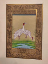 Load image into Gallery viewer, Hand Painted Ostrich Bird Birds Miniature Painting India Artwork Paper Nature - ArtUdaipur
