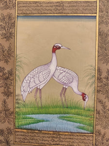 Hand Painted Ostrich Bird Birds Miniature Painting India Artwork Paper Nature - ArtUdaipur