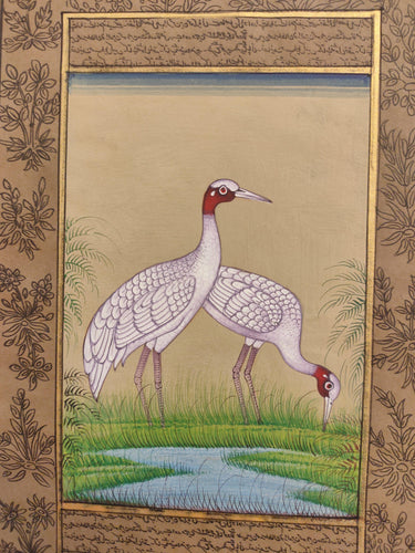 Ostrich Bird Painting Art