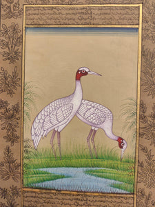 Ostrich Bird Painting Art