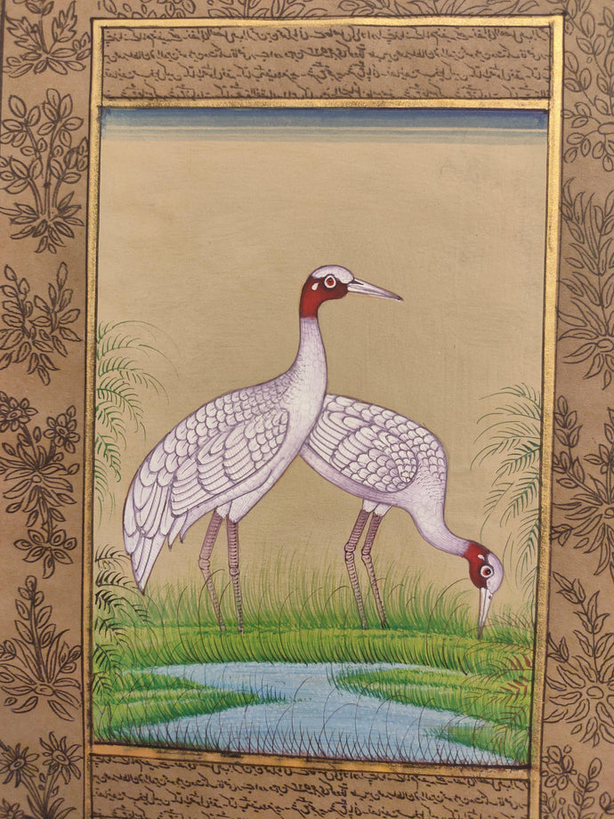 Ostrich Bird Painting Art
