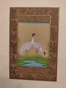 Hand Painted Ostrich Bird Birds Miniature Painting India Artwork Paper Nature - ArtUdaipur