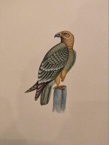 Eagle Bird Paper Painting Artwork