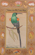 Load image into Gallery viewer, Bird Art Lover Painting Artwork
