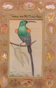 Bird Art Lover Painting Artwork