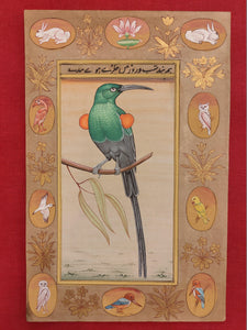 Birds of Paradise Art Collection