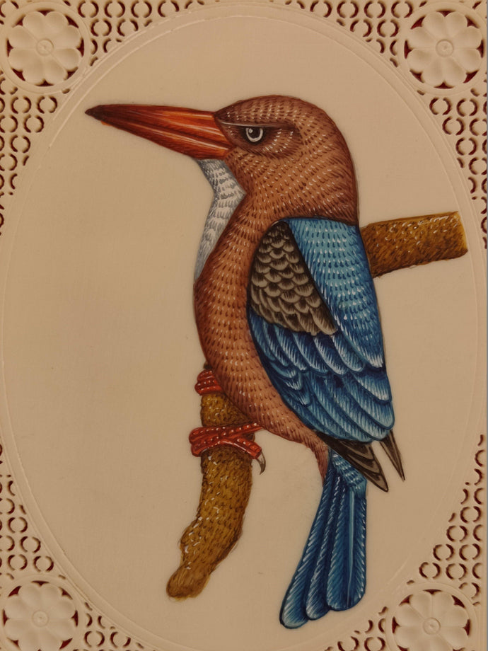 KingFisher Bird Art Collection