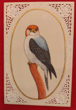 Load image into Gallery viewer, Exotic Owl Bird Birds Miniature Painting India Art Synthetic Ivory - ArtUdaipur
