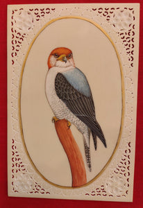 Exotic Owl Bird Birds Miniature Painting India Art Synthetic Ivory - ArtUdaipur