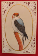 Load image into Gallery viewer, Exotic Owl Bird Birds Miniature Painting India Art Synthetic Ivory - ArtUdaipur
