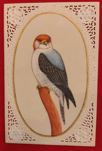 Exotic Owl Bird Birds Miniature Painting India Art Synthetic Ivory - ArtUdaipur