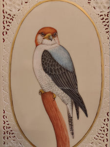 Exotic Owl Bird Birds Miniature Painting India Art Synthetic Ivory - ArtUdaipur