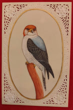 Load image into Gallery viewer, Exotic Owl Bird Birds Miniature Painting India Art Synthetic Ivory - ArtUdaipur
