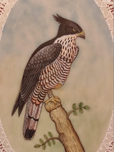 Load image into Gallery viewer, Beautiful Eagle Bird on Synthetic Ivory Hand Painted Painting Art - ArtUdaipur
