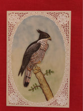 Load image into Gallery viewer, Beautiful Eagle Bird on Synthetic Ivory Hand Painted Painting Art - ArtUdaipur
