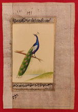 Load image into Gallery viewer, Peacock Bird on Old Paper Miniature Painting India - ArtUdaipur
