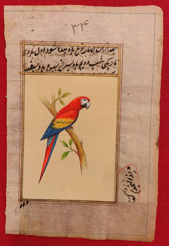 Parrot Bird Painting Artwork