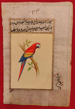 Load image into Gallery viewer, ColorFul Red Color Peacock Bird Old Paper Tree Painting - ArtUdaipur
