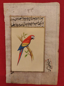 ColorFul Red Color Peacock Bird Old Paper Tree Painting - ArtUdaipur