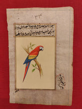 Load image into Gallery viewer, ColorFul Red Color Peacock Bird Old Paper Tree Painting - ArtUdaipur
