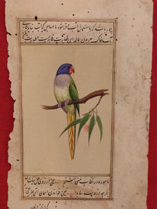 ColorFul Peacock Bird on Old Paper Painting Miniature - ArtUdaipur