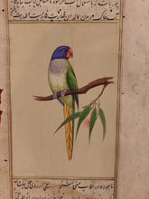 Load image into Gallery viewer, ColorFul Peacock Bird on Old Paper Painting Miniature - ArtUdaipur
