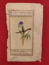 Load image into Gallery viewer, ColorFul Peacock Bird on Old Paper Painting Miniature - ArtUdaipur
