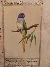 Load image into Gallery viewer, ColorFul Peacock Bird on Old Paper Painting Miniature - ArtUdaipur
