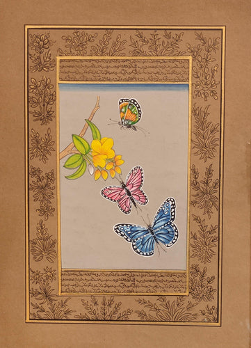 Butterfly Bird Painting Art Collection