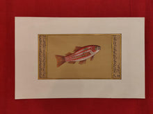 Load image into Gallery viewer, Hand Painted Fish Animal Miniature Painting India Art Aquatic - ArtUdaipur
