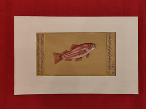 Hand Painted Fish Animal Miniature Painting India Art Aquatic - ArtUdaipur