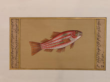 Load image into Gallery viewer, Hand Painted Fish Animal Miniature Painting India Art Aquatic - ArtUdaipur
