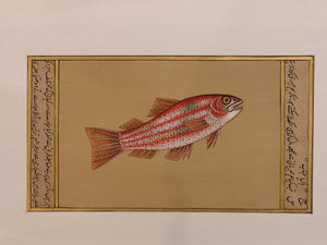 Hand Painted Fish Animal Miniature Painting India Art Aquatic - ArtUdaipur