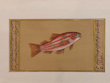 Load image into Gallery viewer, Hand Painted Fish Animal Miniature Painting India Art Aquatic - ArtUdaipur
