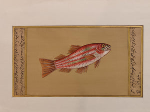 Hand Painted Fish Animal Miniature Painting India Art Aquatic - ArtUdaipur