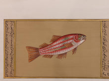 Load image into Gallery viewer, Hand Painted Fish Animal Miniature Painting India Art Aquatic - ArtUdaipur
