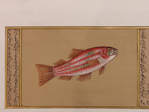 Hand Painted Fish Animal Miniature Painting India Art Aquatic - ArtUdaipur