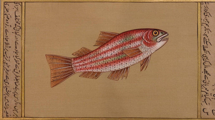 Fish Painting Artwork