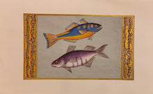 Load image into Gallery viewer, Fish Animal Miniature Painting India Art Nature Paper Aquatic Life - ArtUdaipur
