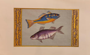 Fish Animal Miniature Painting India Art Nature Paper Aquatic Life - ArtUdaipur